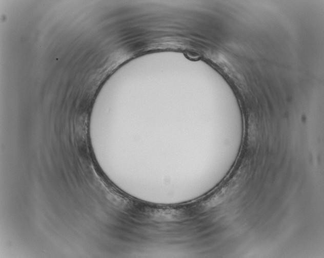 X0000089401233200707061220