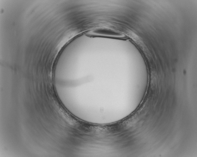 X0000089401234200707061220