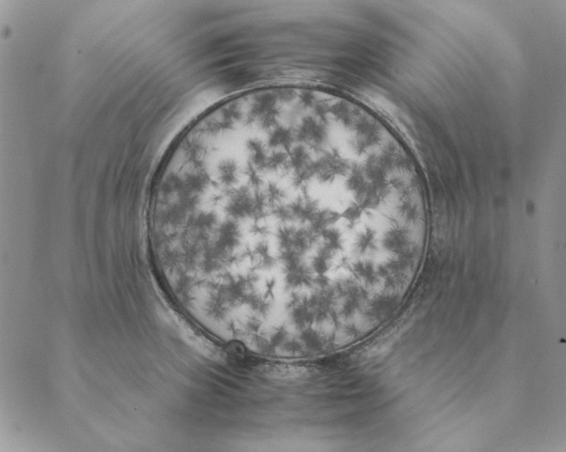 X0000089401235200707061220