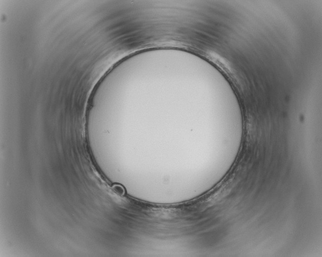 X0000089401236200707061220