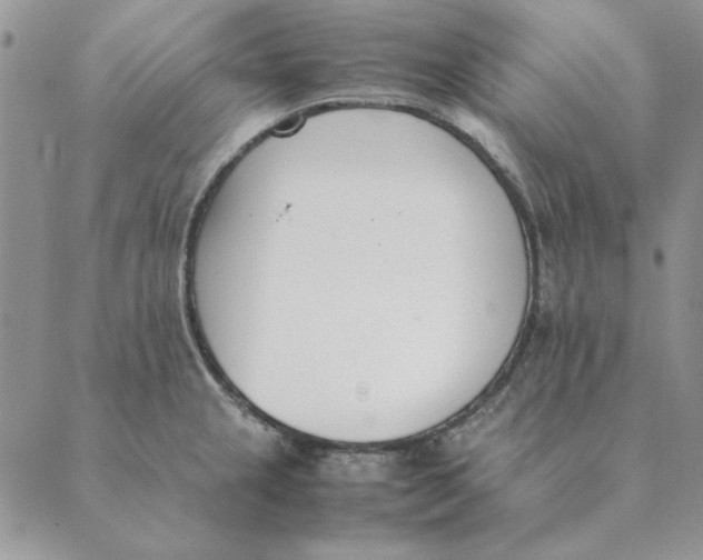 X0000089401237200707061220