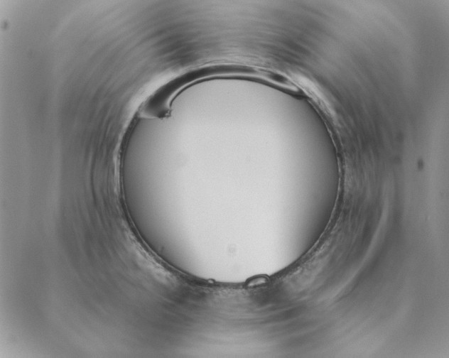 X0000089401238200707061220