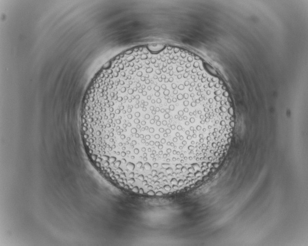 X0000089401239200707061220