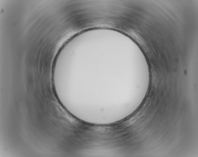 X0000089401240200707061220