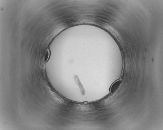 X0000089401241200707061221