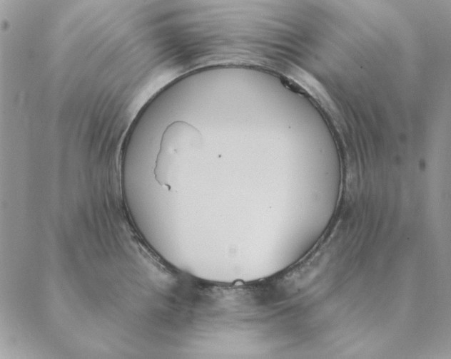 X0000089401242200707061221