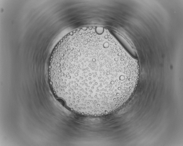 X0000089401243200707061221