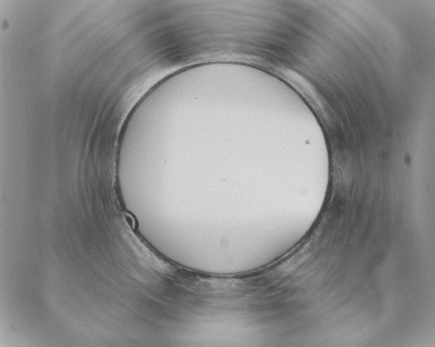 X0000089401244200707061221