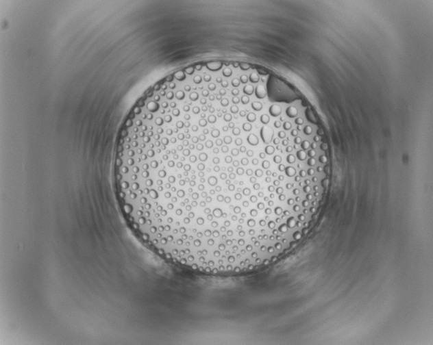 X0000089401245200707061221