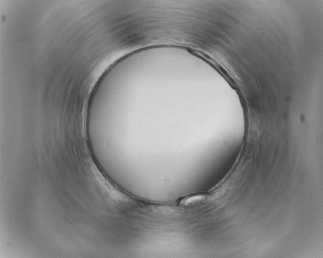 X0000089401246200707061221