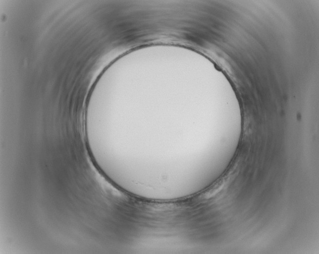 X0000089401247200707061221