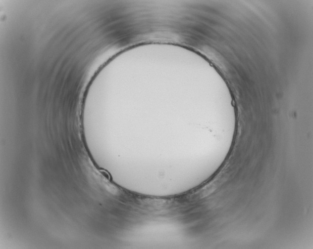 X0000089401248200707061221