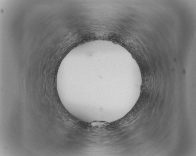 X0000089401249200707061220