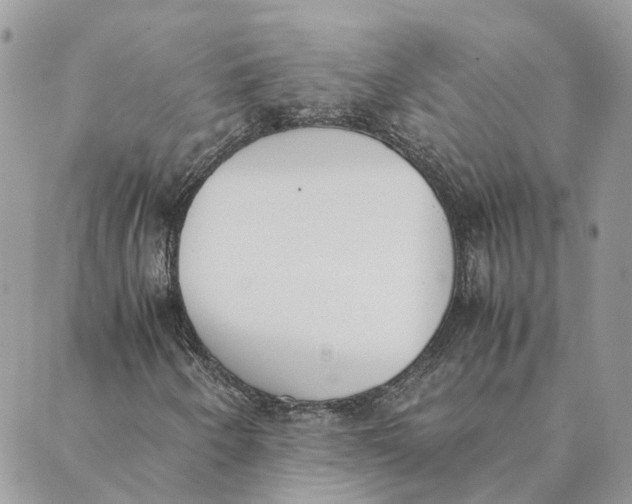 X0000089401250200707061220