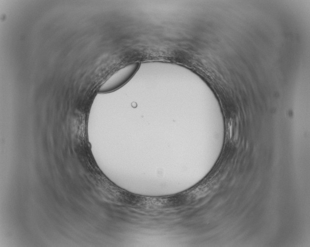 X0000089401251200707061220