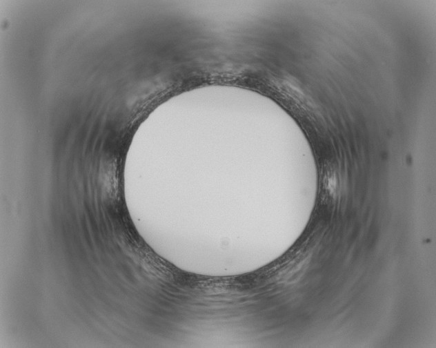 X0000089401252200707061220