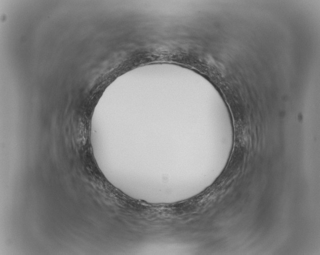 X0000089401253200707061220