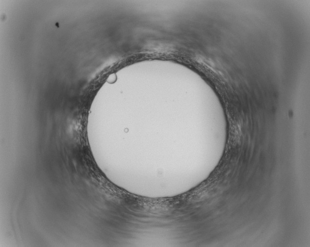 X0000089401254200707061220