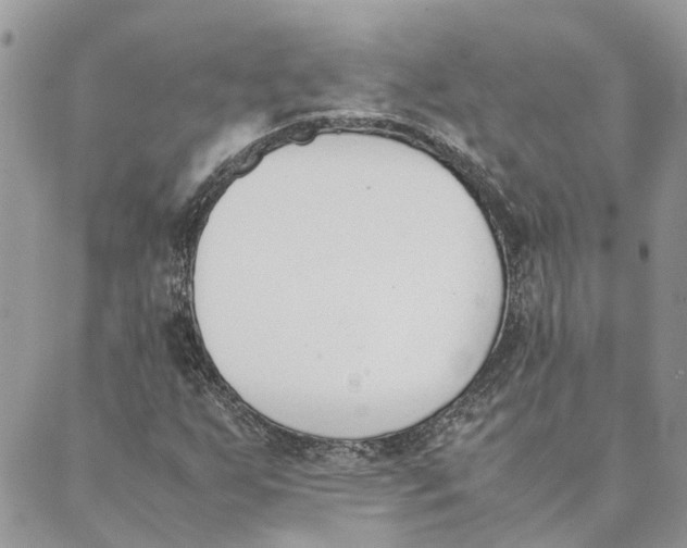 X0000089401255200707061220