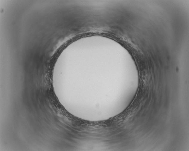 X0000089401256200707061220