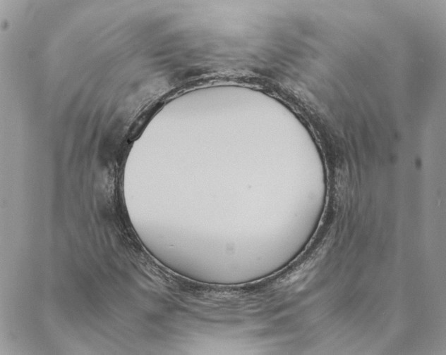 X0000089401257200707061220