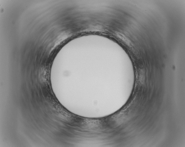 X0000089401258200707061220