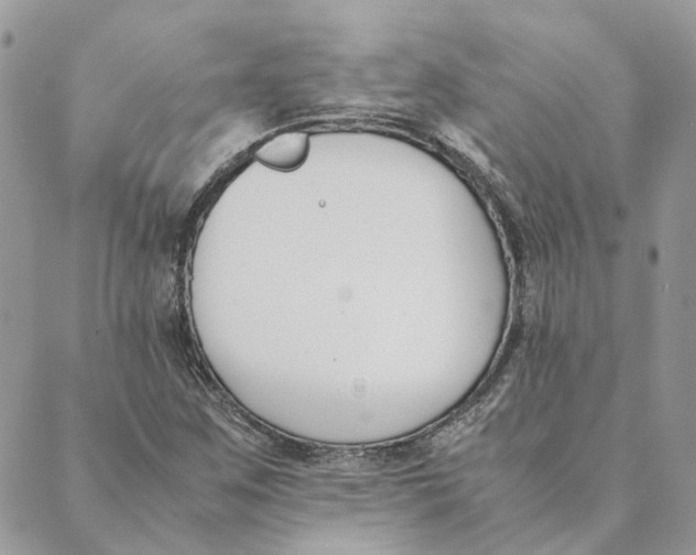 X0000089401259200707061220