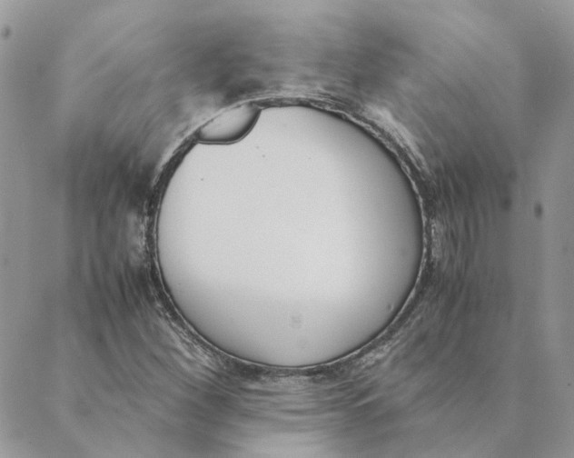 X0000089401260200707061220