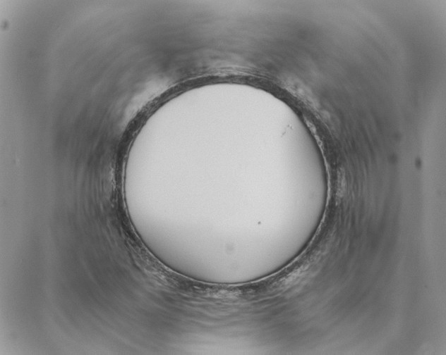 X0000089401261200707061220