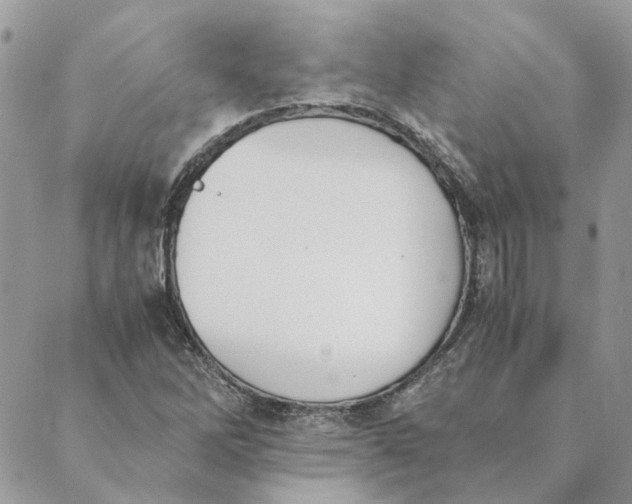 X0000089401262200707061220