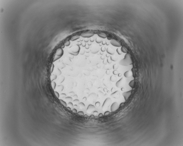 X0000089401263200707061220