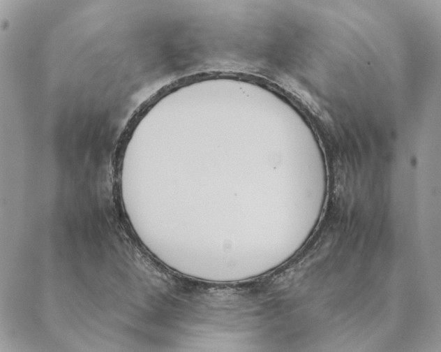 X0000089401264200707061220