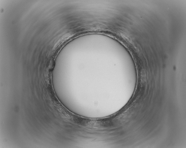 X0000089401265200707061220