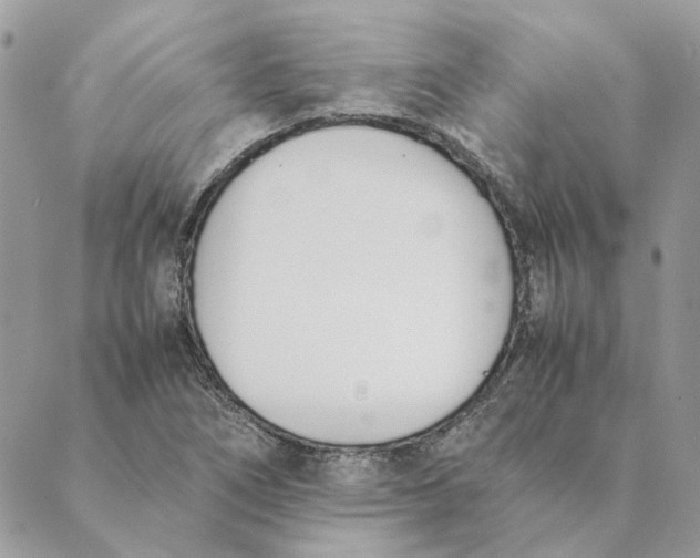 X0000089401266200707061220