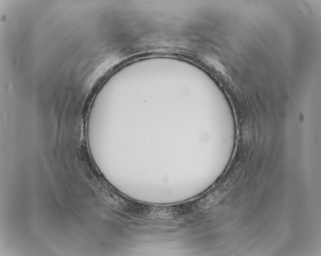 X0000089401267200707061220