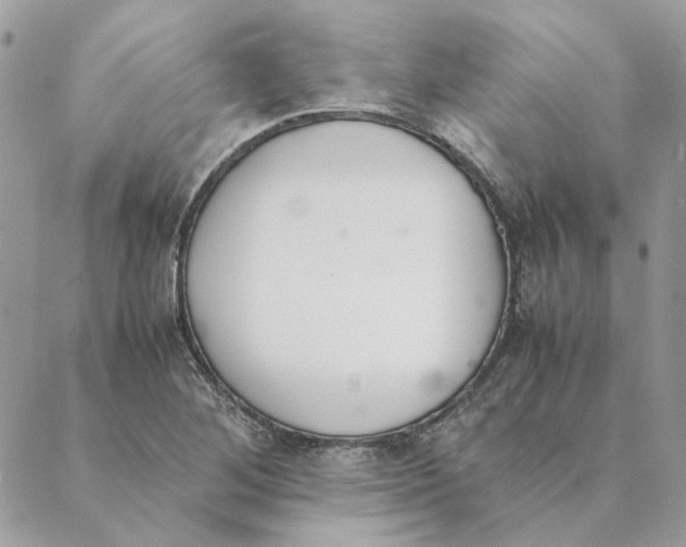 X0000089401268200707061220