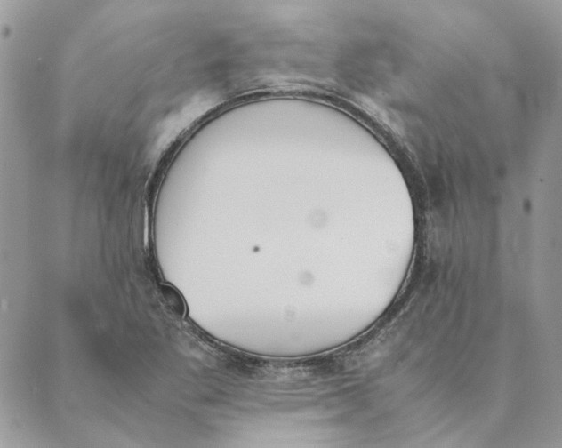 X0000089401269200707061220