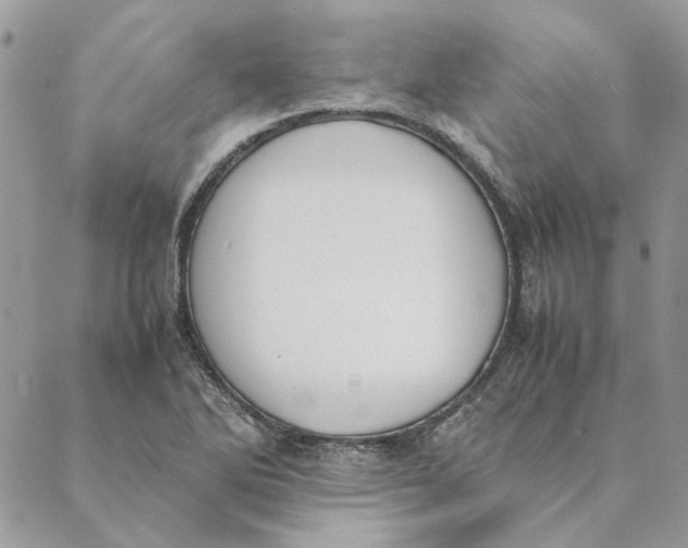 X0000089401270200707061220