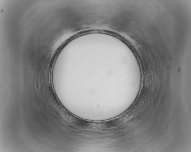 X0000089401271200707061219