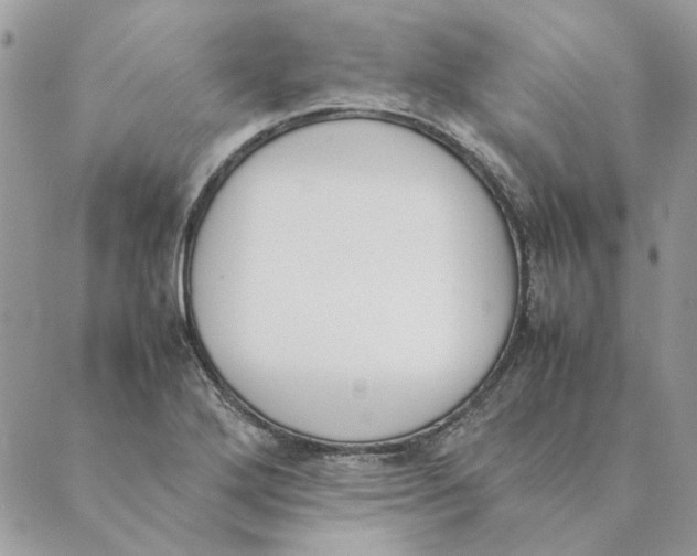 X0000089401272200707061219