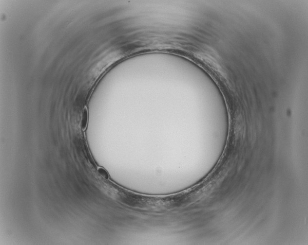 X0000089401273200707061219