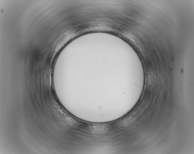 X0000089401274200707061219