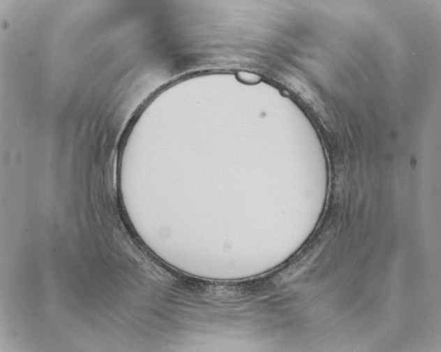 X0000089401275200707061219