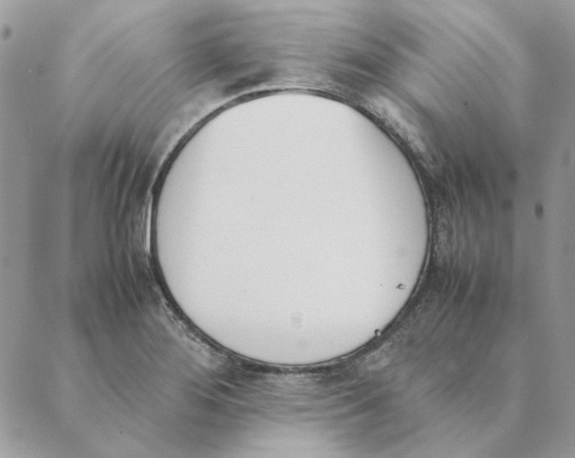 X0000089401276200707061219