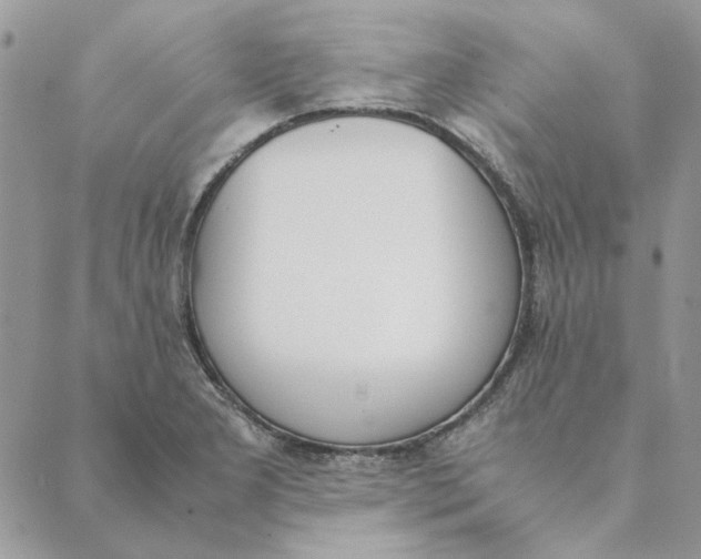 X0000089401277200707061219