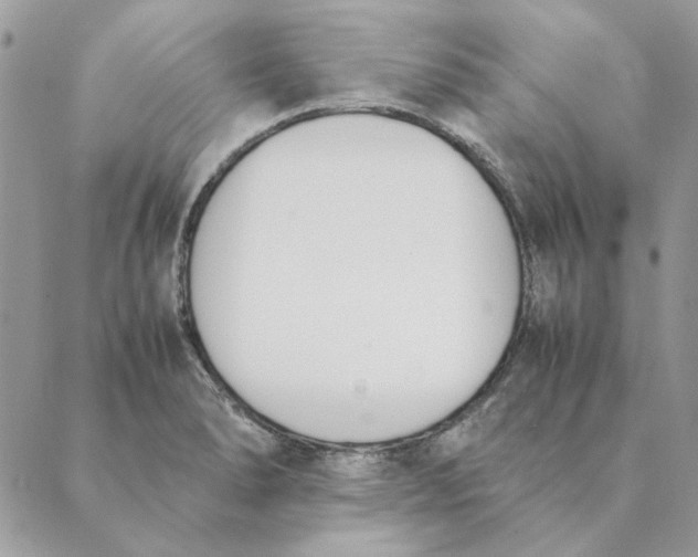 X0000089401278200707061219