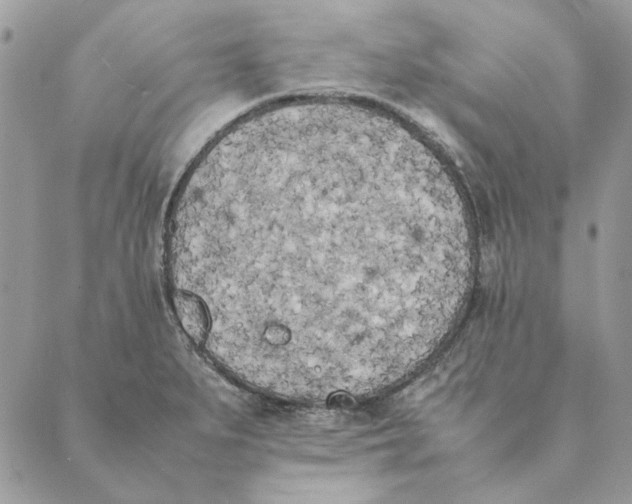 X0000089401279200707061219