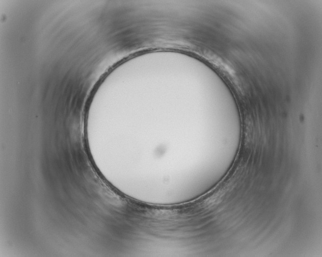 X0000089401280200707061219