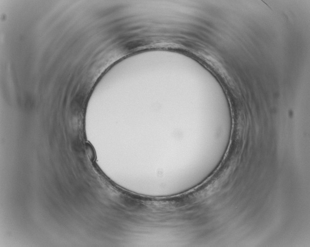 X0000089401281200707061219