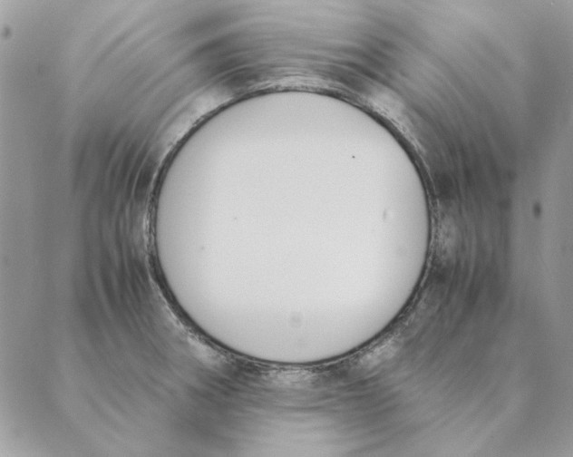 X0000089401282200707061219